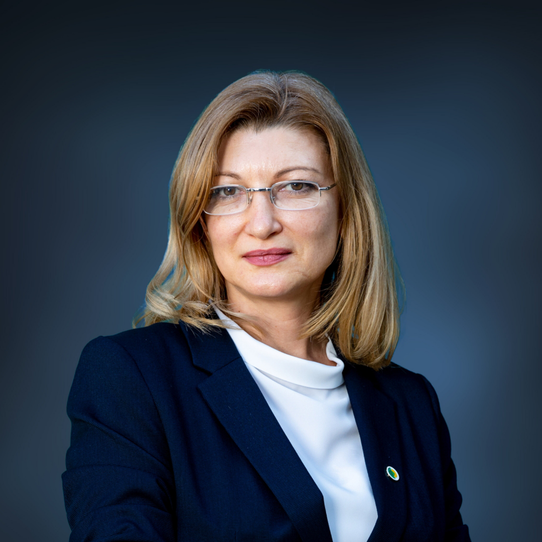 Manager program formare CFRO